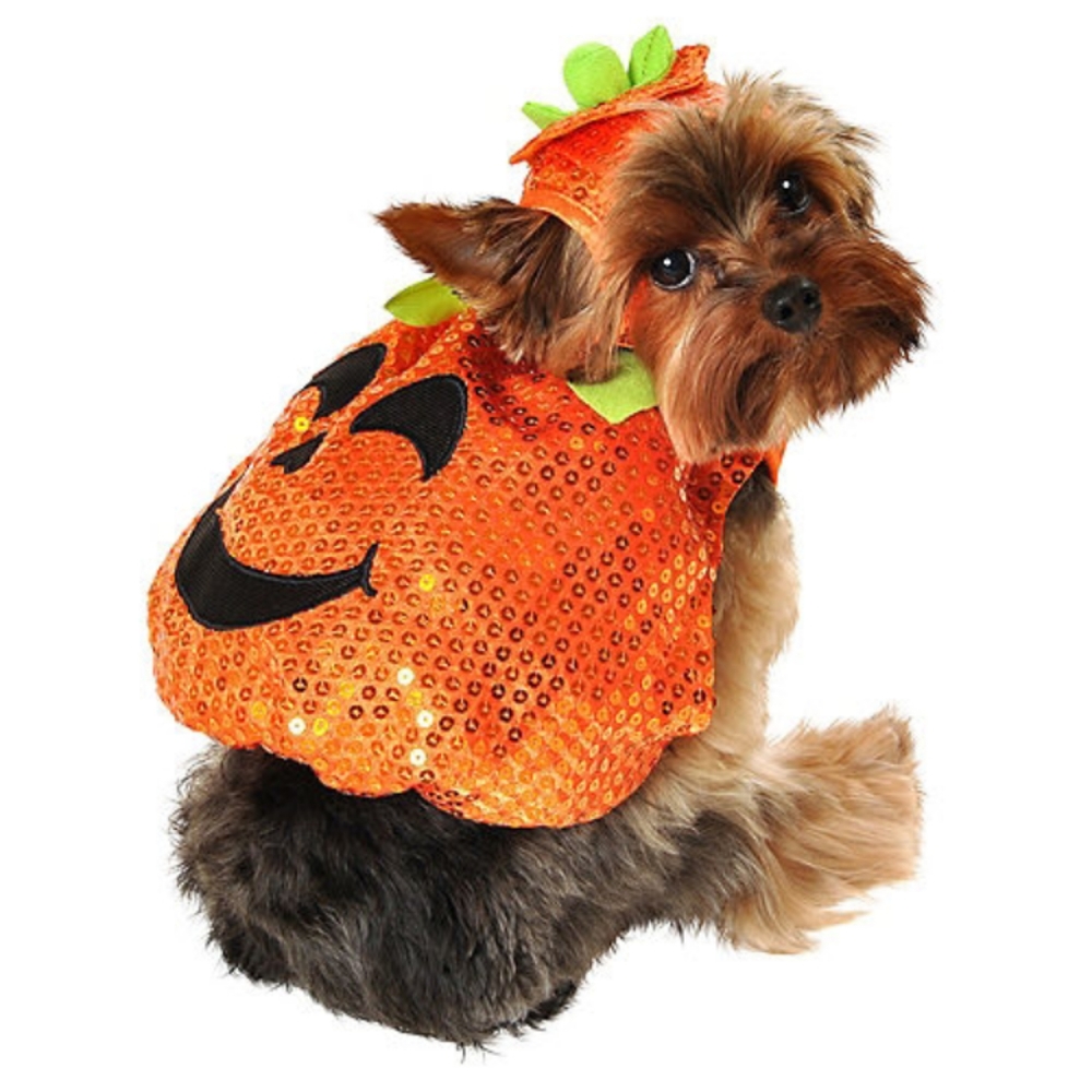 Dog pumpkin costume size Large
